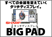 ���㡼�ץ��å��ǥ����ץ쥤��BIG PAD��