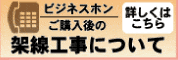 �ӥ��ͥ��ۥ󡡲��������ˤĤ���