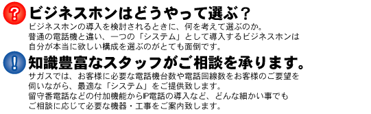 �ӥ��ͥ��ۥ����������