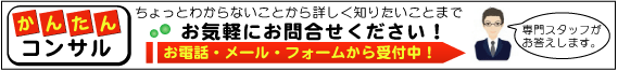 ���ԡ����Υ꡼���ʤɤ����ڤˤ����̲�����