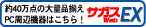 ��40������������·����������WebEX