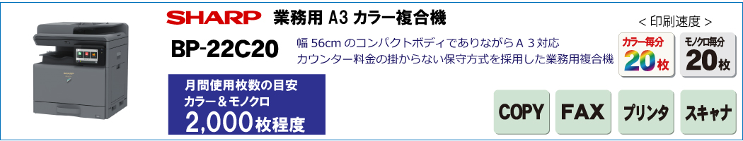 㡼ץ顼ʣ絡