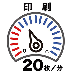 ʬ顼20